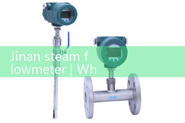 Jinan steam flowmeter