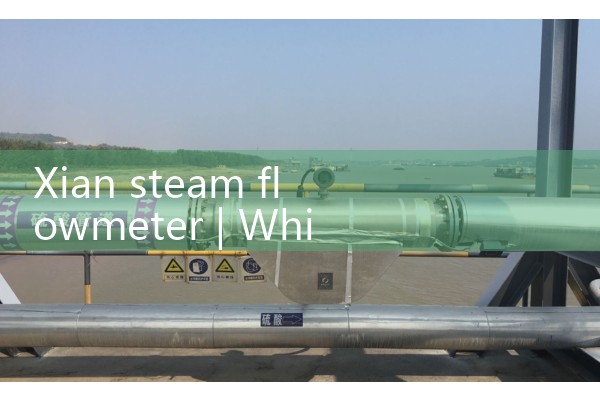 Xian steam flowmeter