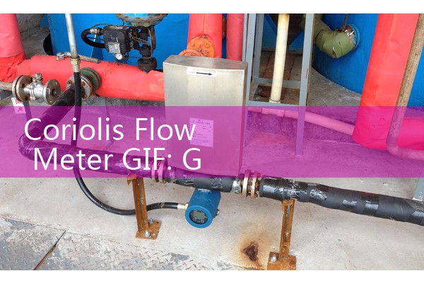 Coriolis Flow Meter GIF: Graphical Overviews of Vibrating Fluid Dynamics