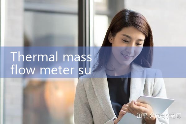 thermal mass flow meter supplier|turbine flow meter