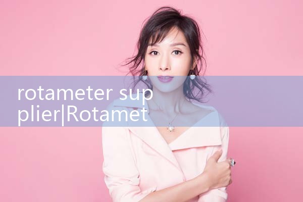 rotameter supplier|turbine flow meter
