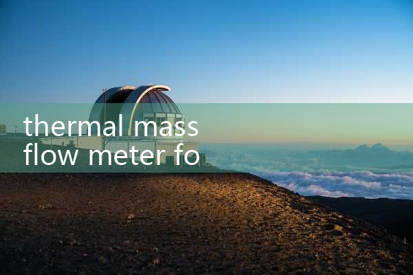 thermal mass flow meter for combustion air|turbine flow meter