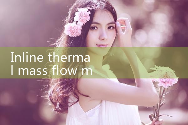 inline thermal mass flow meter|turbine flow meter