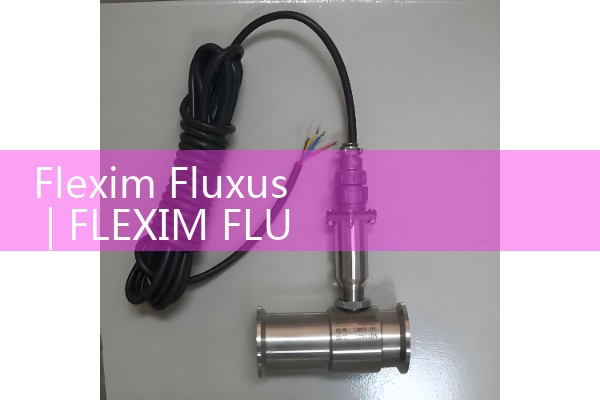 flexim fluxus