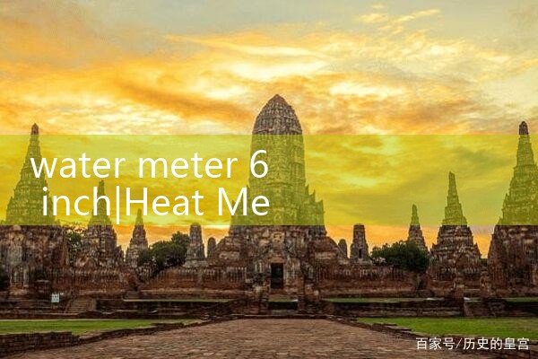 water meter 6 inch|turbine flow meter