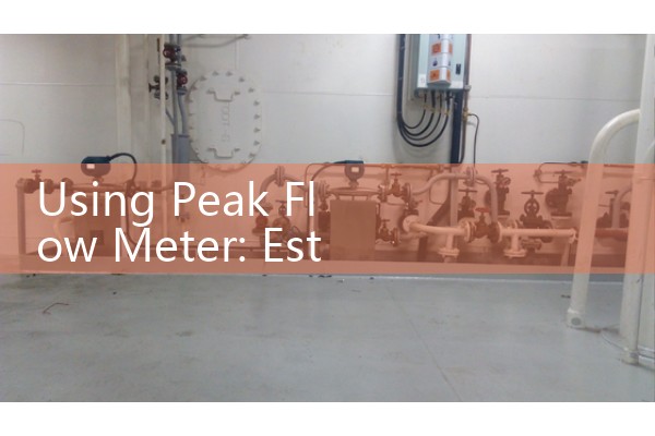 Using Peak Flow Meter: Establishing Home Asthma Action Plan Baselines