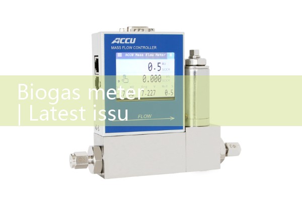 biogas meter|gas flow meter