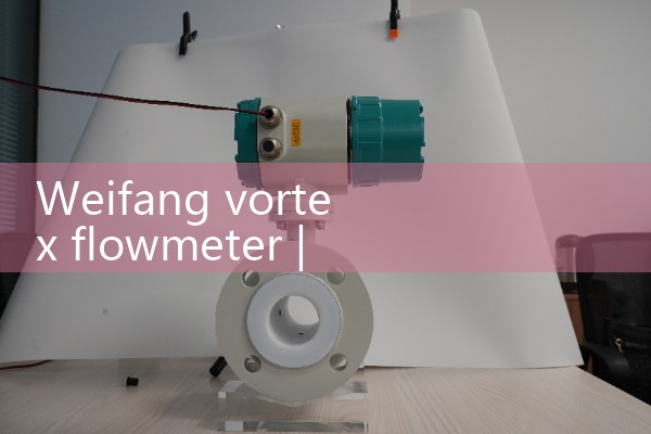 Weifang Vortex Flow Meter