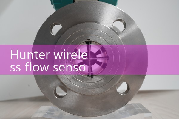 hunter wireless flow sensor|gas flow meter