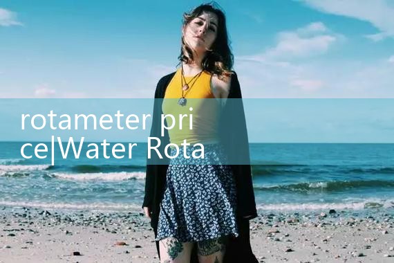 rotameter price|turbine flow meter