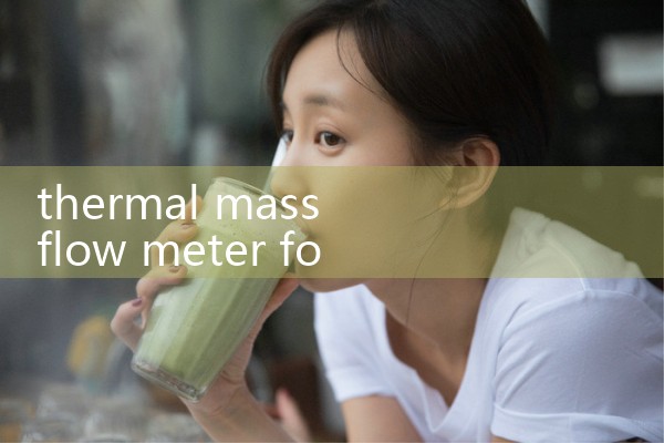 thermal mass flow meter for large pipe|turbine flow meter