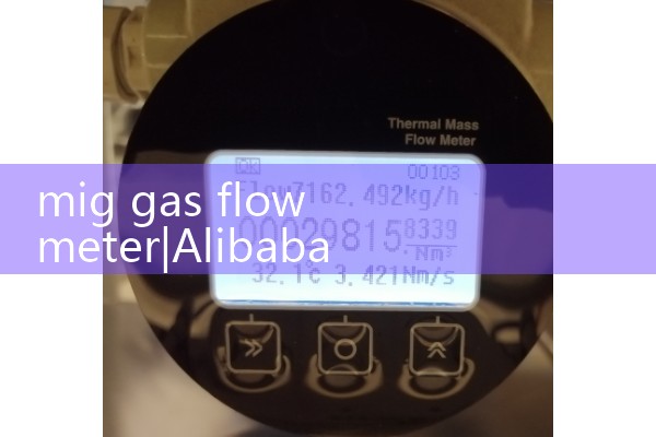 mig gas flow meter|heat flow meter
