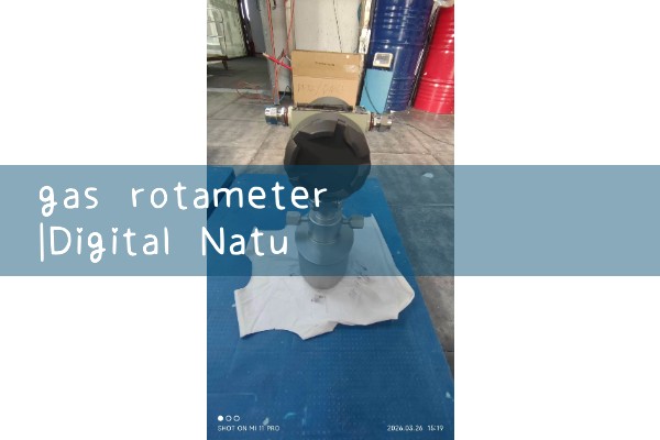 gas rotameter|water flow meter