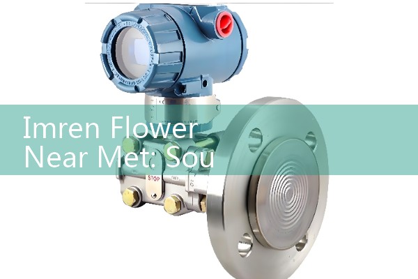 Imren Flower Near Met: Sourcing Premier Botanical Boutiques and Floral Exhibitions in NYC Museum District