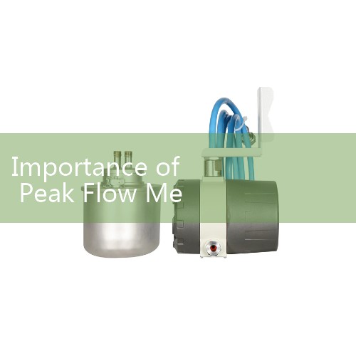 Importance of Peak Flow Meter: Clinical Asthma Benefits of Objective Lung Capacity Airflow Tracking
