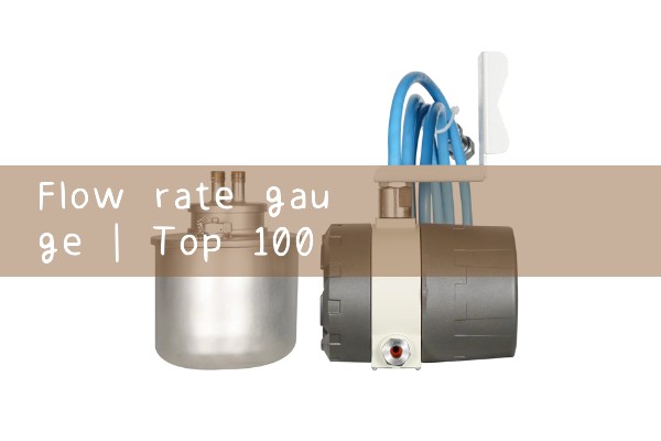 flow rate gauge|water flow meter