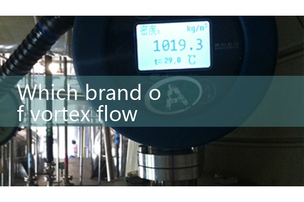 Which brand of vortex flowmeter is good