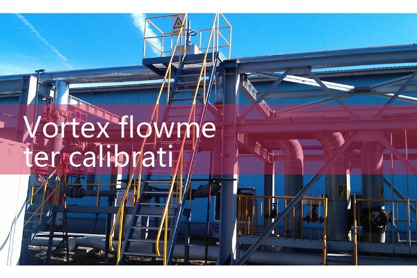 Verification of vortex flowmeter