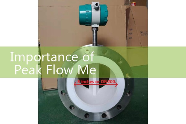 Importance of Peak Flow Meter: Clinical Asthma Benefits of Objective Lung Capacity Airflow Tracking