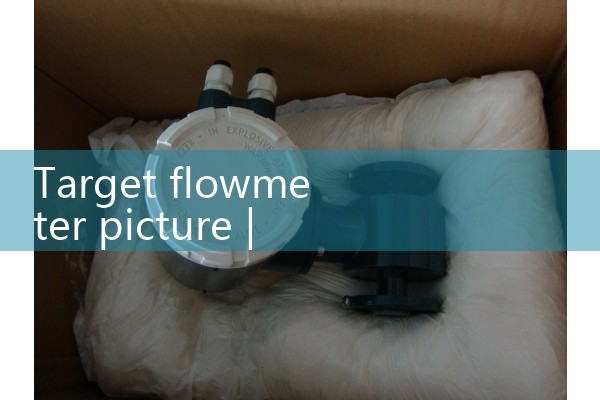 Image of target flowmeter