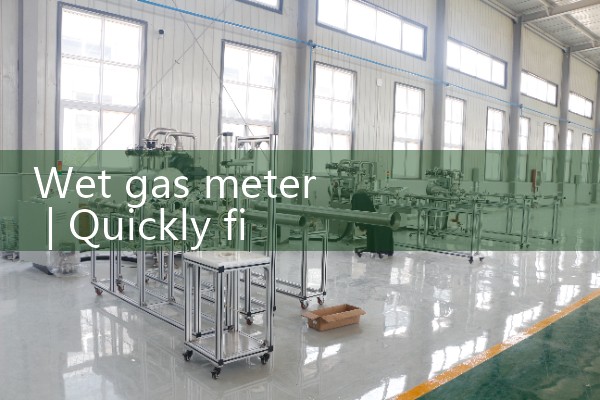 wet gas meter|heat flow meter