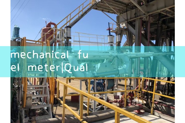 mechanical fuel meter|water flow meter